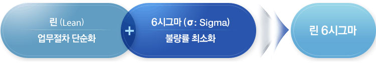 린 6시그마란?