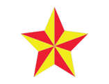 육군의 상징인 별