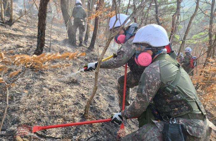 0326 軍 산불 진화에 병력 5000명&middot;헬기 146대 지원_김해령.jpg 첨부 이미지