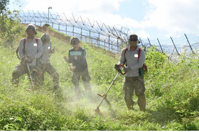 Non-combat Activities